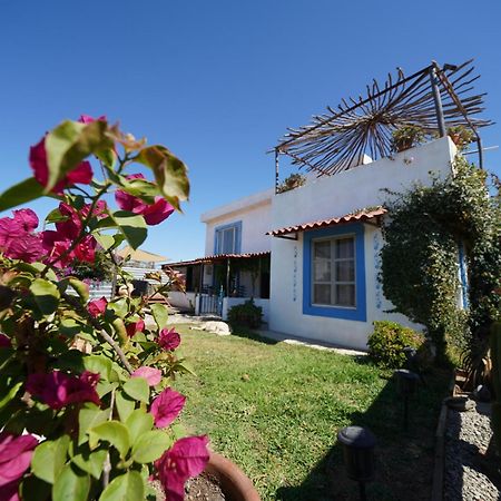 Santerra, Valle De Guadalupe Exterior photo