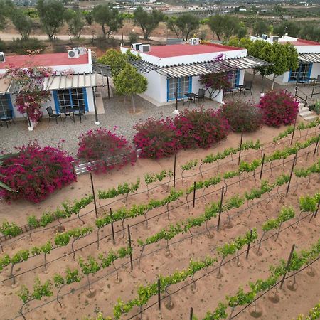 Santerra, Valle De Guadalupe Exterior photo