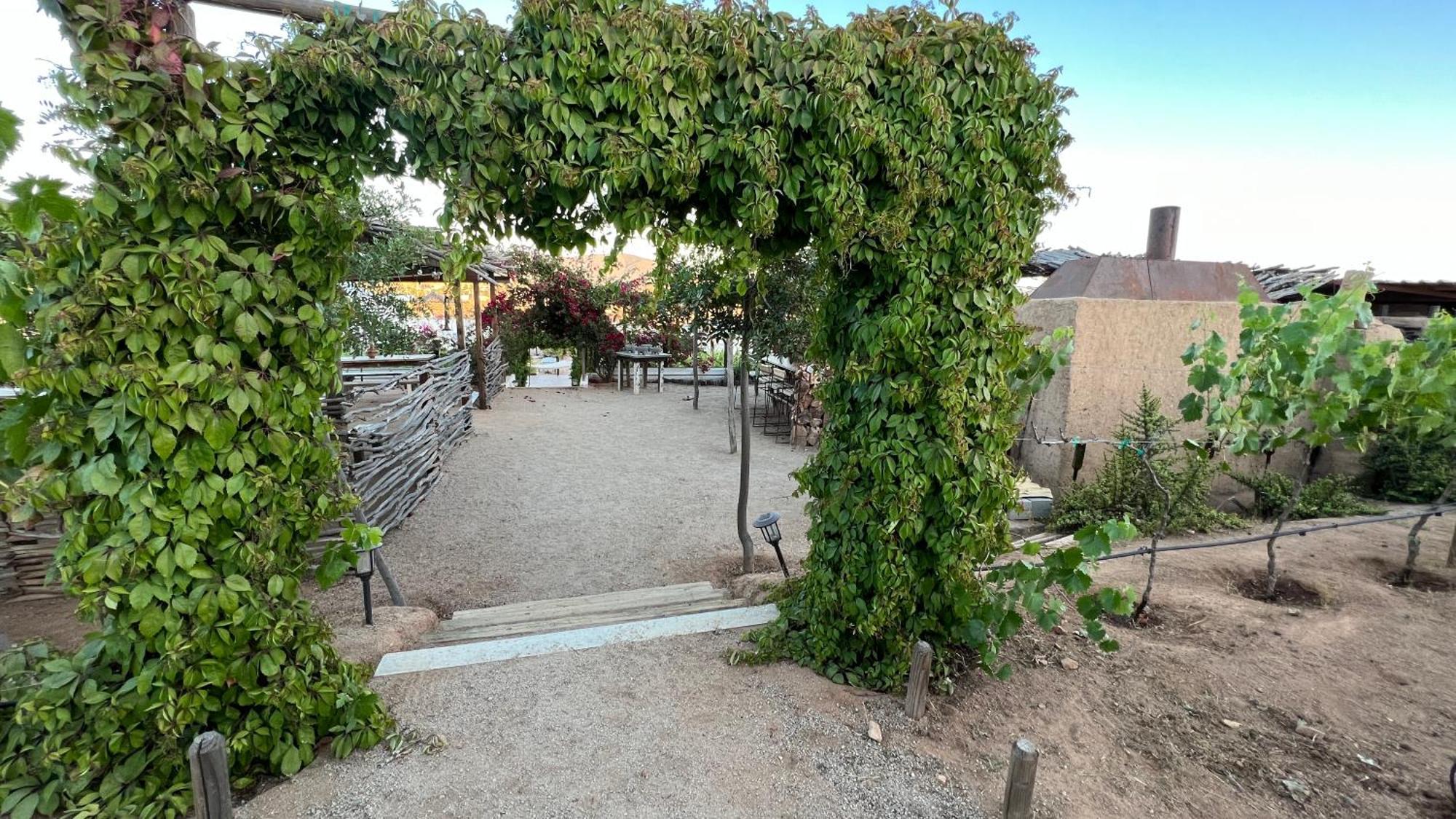 Santerra, Valle De Guadalupe Exterior photo
