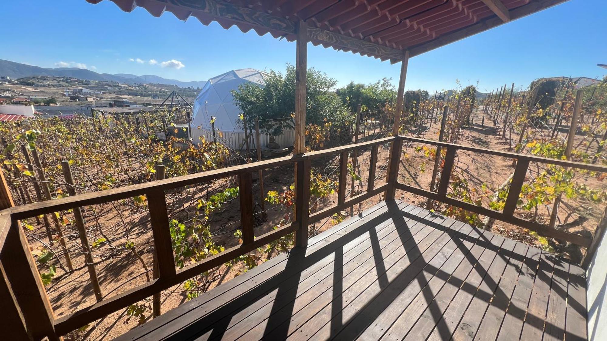 Santerra, Valle De Guadalupe Exterior photo