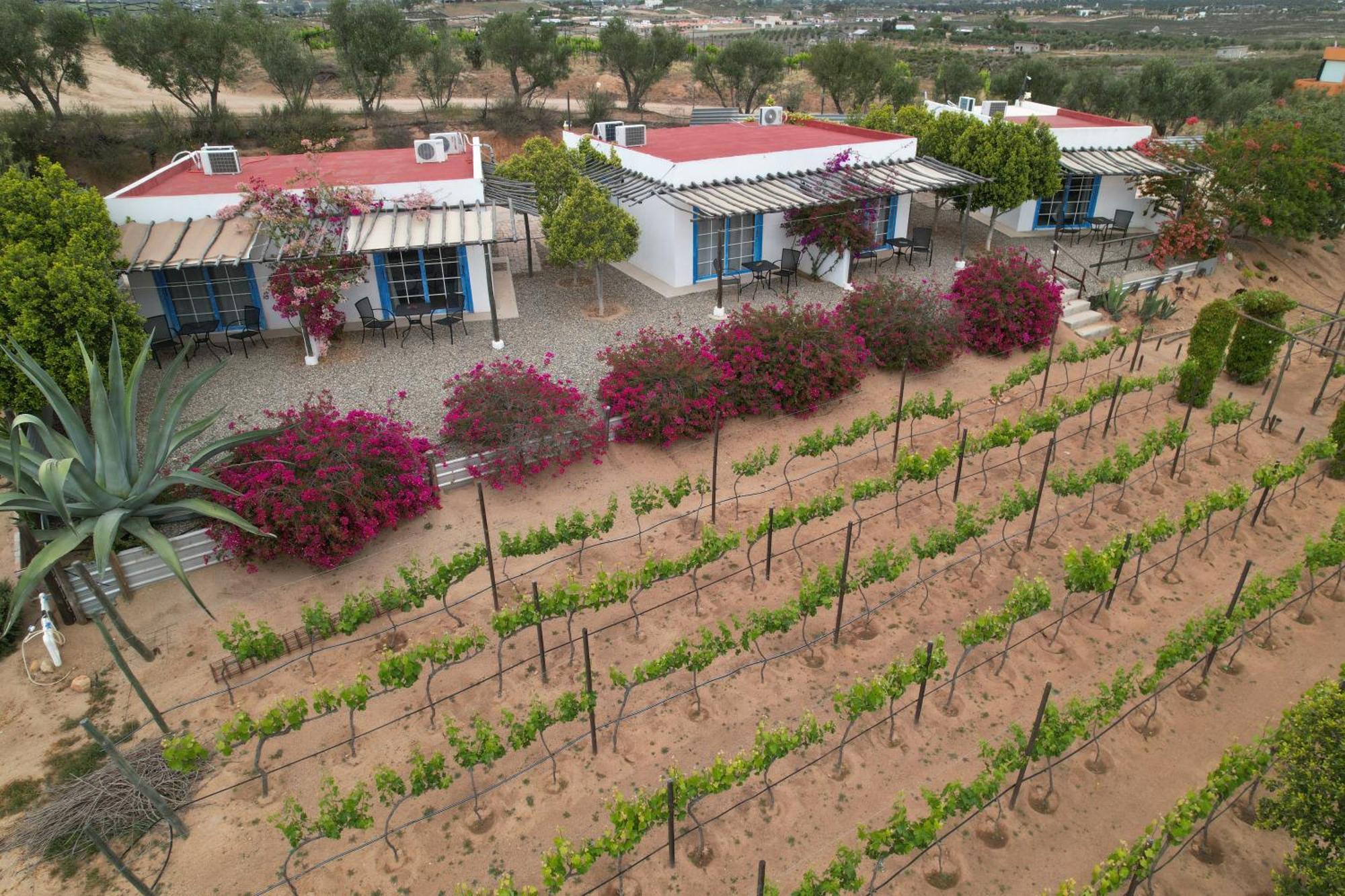 Santerra, Valle De Guadalupe Exterior photo